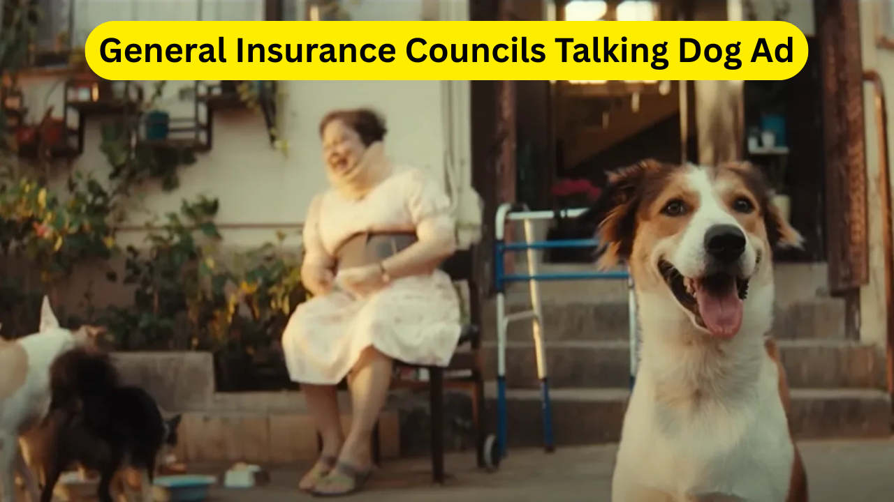 General Insurance Councils Talking Dog Ad